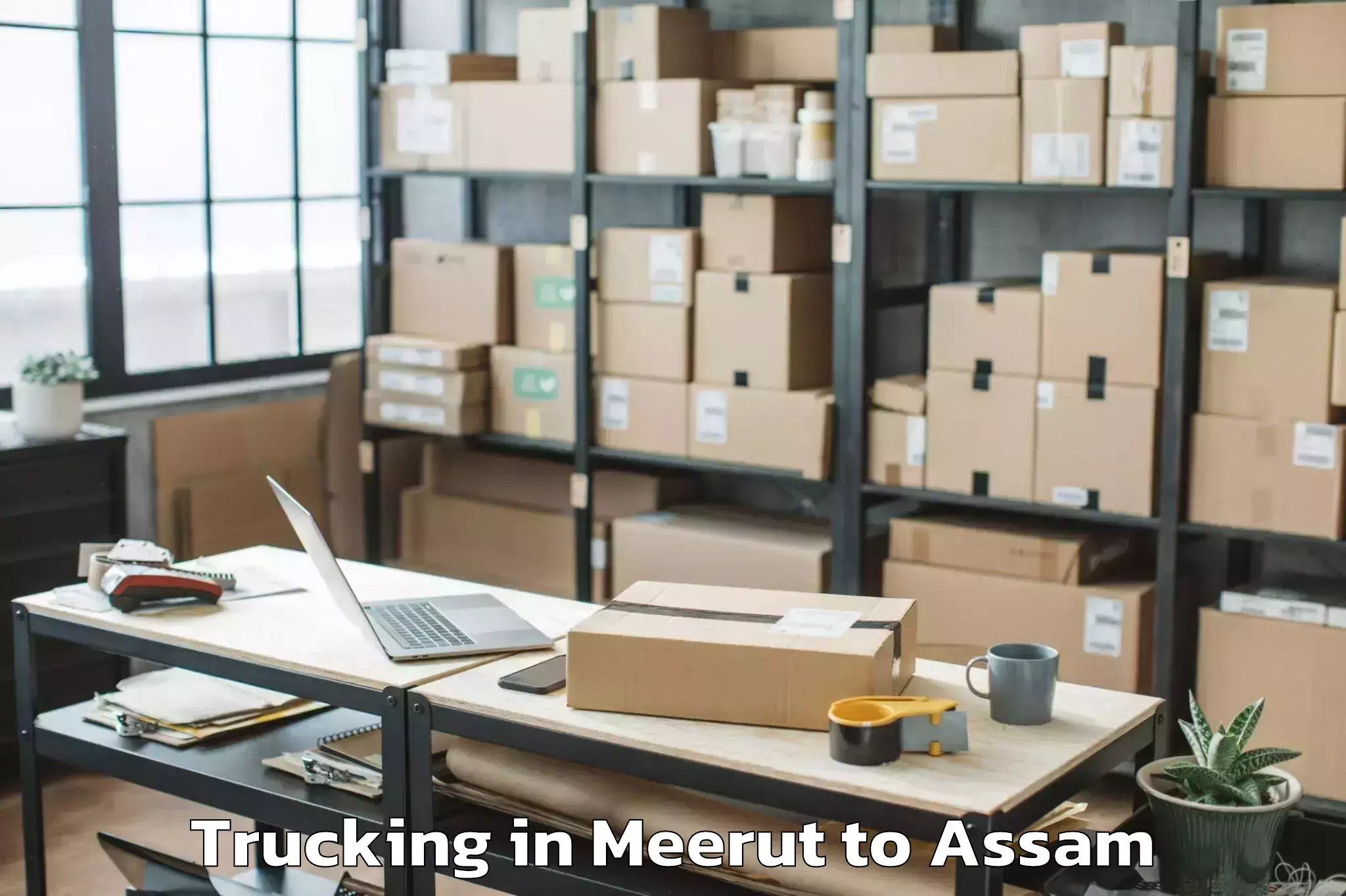 Trusted Meerut to Iit Guwahati Trucking